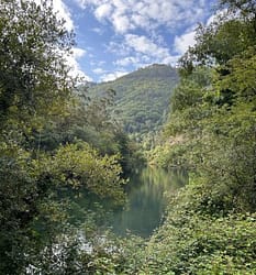 H2IDI Fomento del turismo enogastronómico