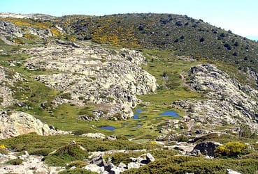 H2IDI - Fomento responsabilidad social y conciliación laboral