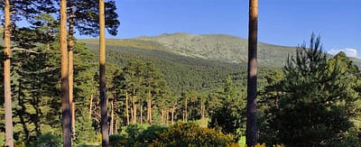 H2IDI - Ayudas PYMES comerciales, de servicios y artesanas 2024