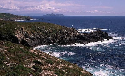 H2IDI - Programa Investigo