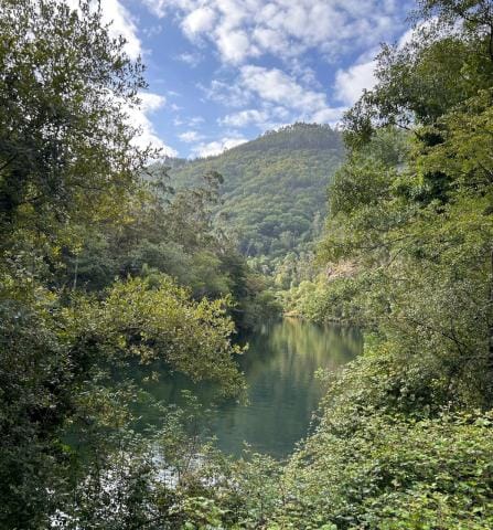 H2IDI Fomento del turismo enogastronómico