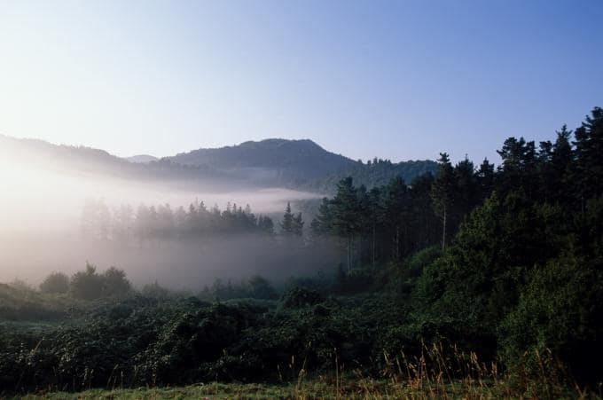 Programa Kontrata 2024