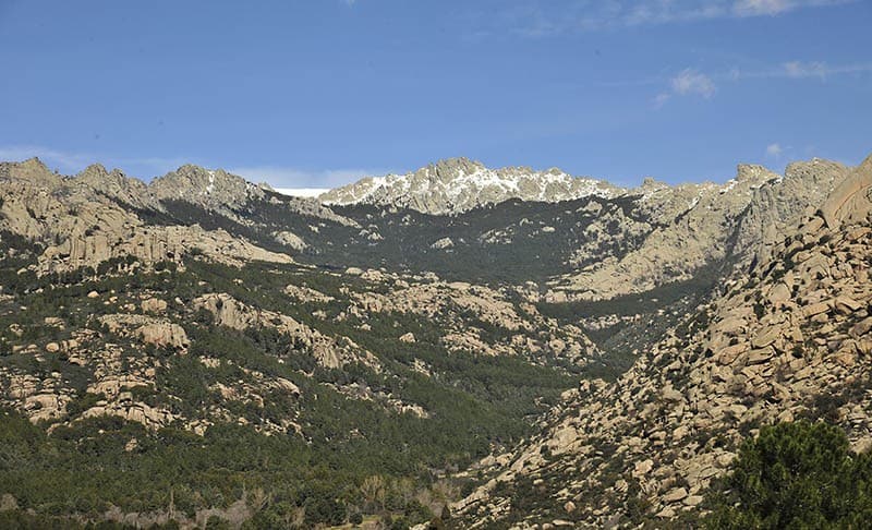 H2IDI - CAM-Pymes-comerciales-de-servicios-y-artesanas-2026