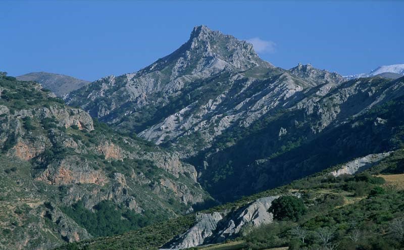H2IDI - sector comercial y artesano en Andalucía 2025